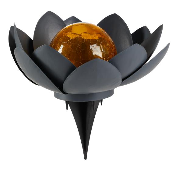 Solar-Lotusblume, grau