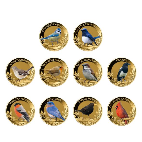 10er Set 