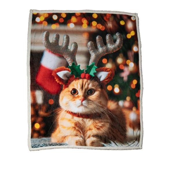 Sherpadecke Katzenrentier