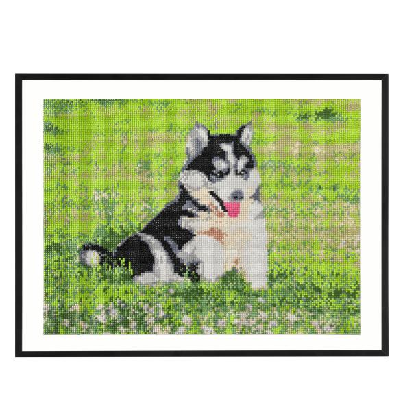 Diamond Painting Hund 40x50
