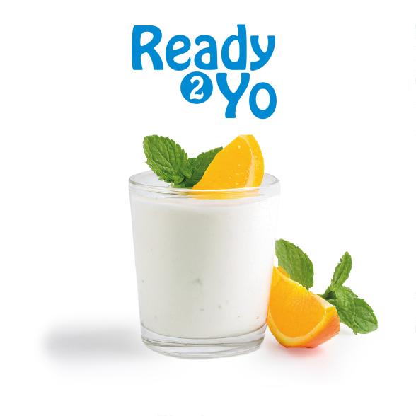 Ready2Yo Joghurt Skyr Basisprodukt