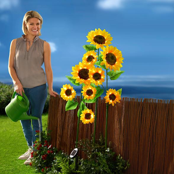 XXL-Solar-Sonnenblumen 3er Set