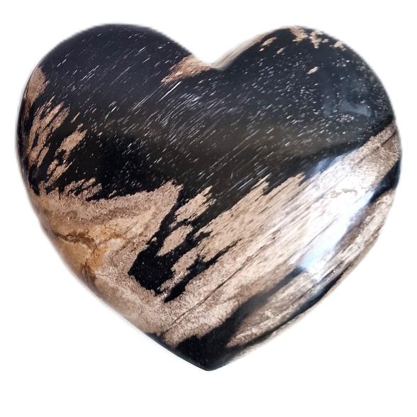 Herz fossiles Holz 10 cm