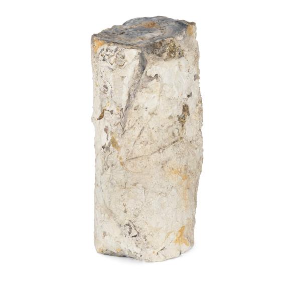 Fossiles Holz roh 4,5 - 6,5kg