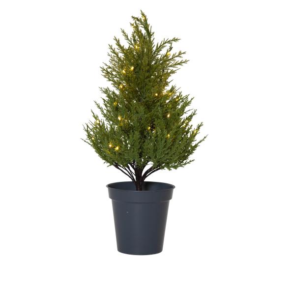 LED Thuja-Bäumchen