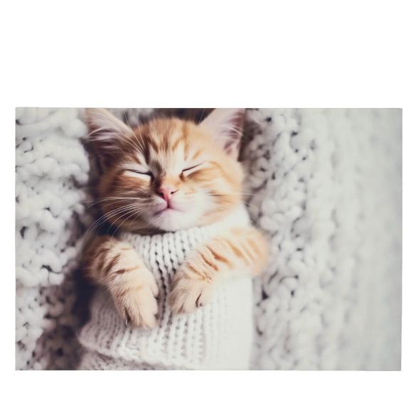 3D-Fußmatte Kuschelkatze