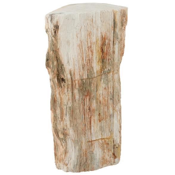 Darimana Fossiles Holz 3,5 - 4,5 kg