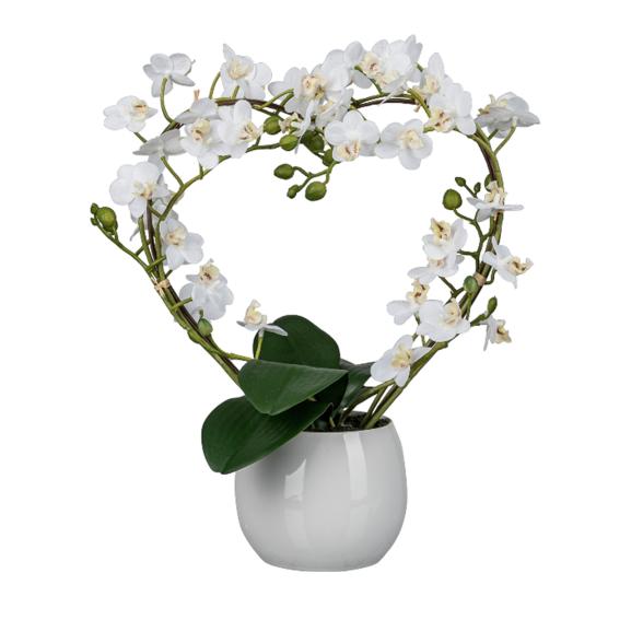 Orchidee in Herzform gebogen