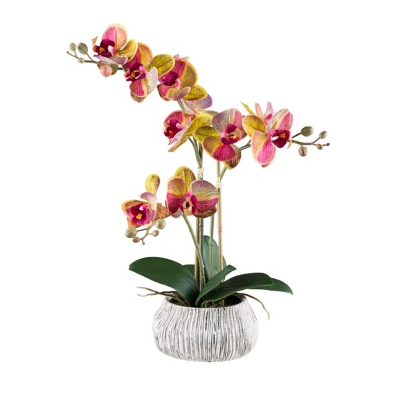 Orchidee Real Touch gelbpink