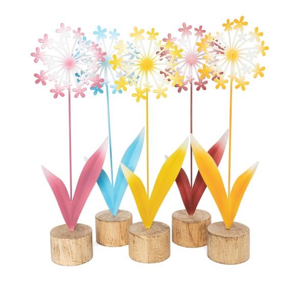 Dekoblume Colorato 5er Set