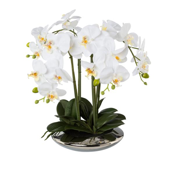 Orchidee weiß in Silberschale