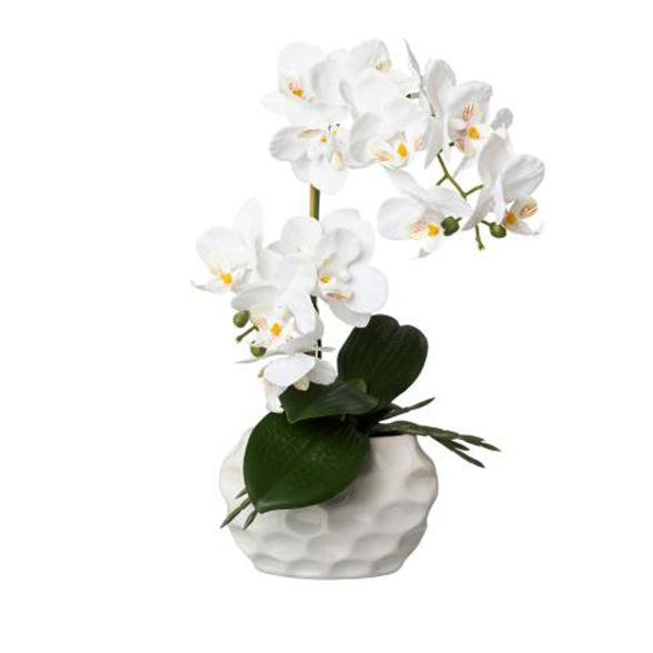 Orchidee Real Touch 33cm