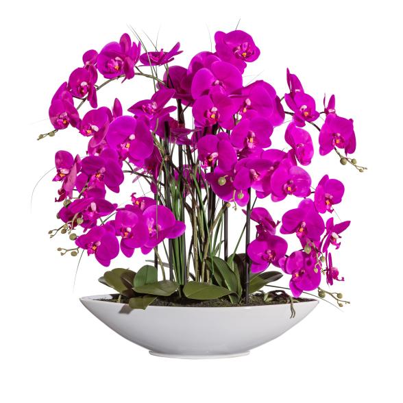 XXL-Orchidee lila 70cm