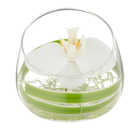 Weiße Orchidee im Glas