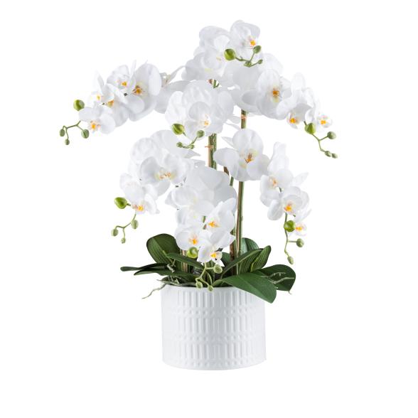 XXL-Orchidee Real Touch weiß 60cm