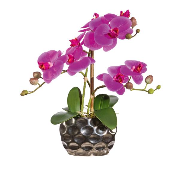 Orchidee in Ovalvase lila