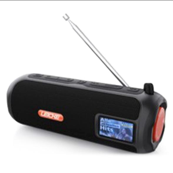 Tragbares DAB+/Bluetooth Radio