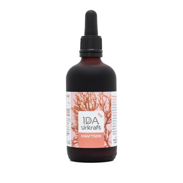 IDA Urkraft Kraft Sein 100 ml