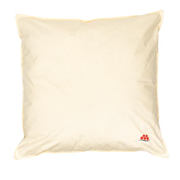 OBB Kissen Schwarzwald Deluxe 80x80cm
