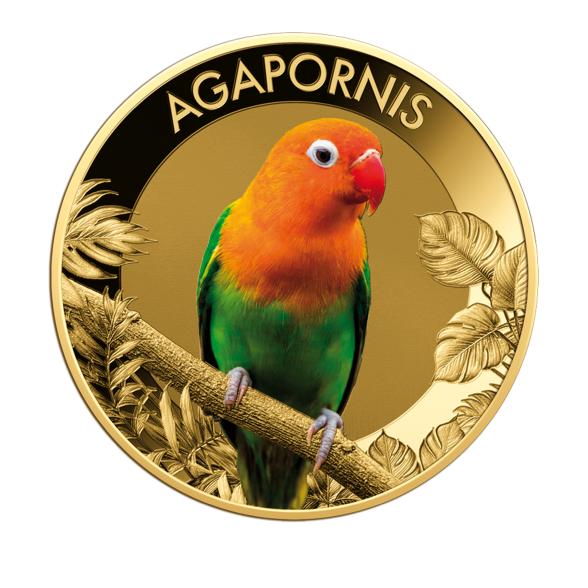 4251247214590 - 10er Set Wonder World of Dragonflies