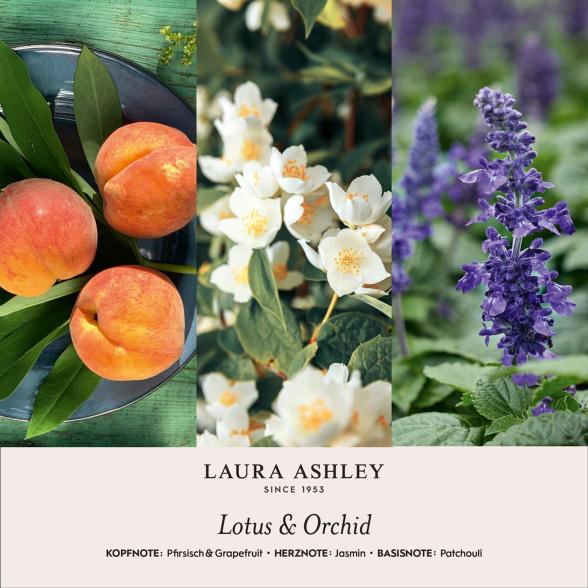 Thumbnail - Diffuser Lotus & Orchidee