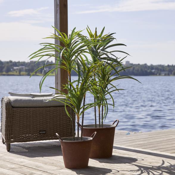 Thumbnail - Palme mit LED-Beleuchtung