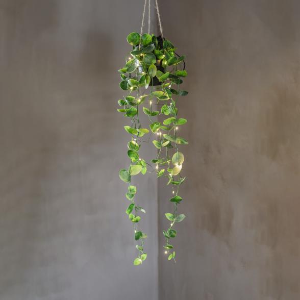 Thumbnail - Hängepflanze mit LEDs