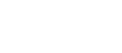 SCHMUCK SALE