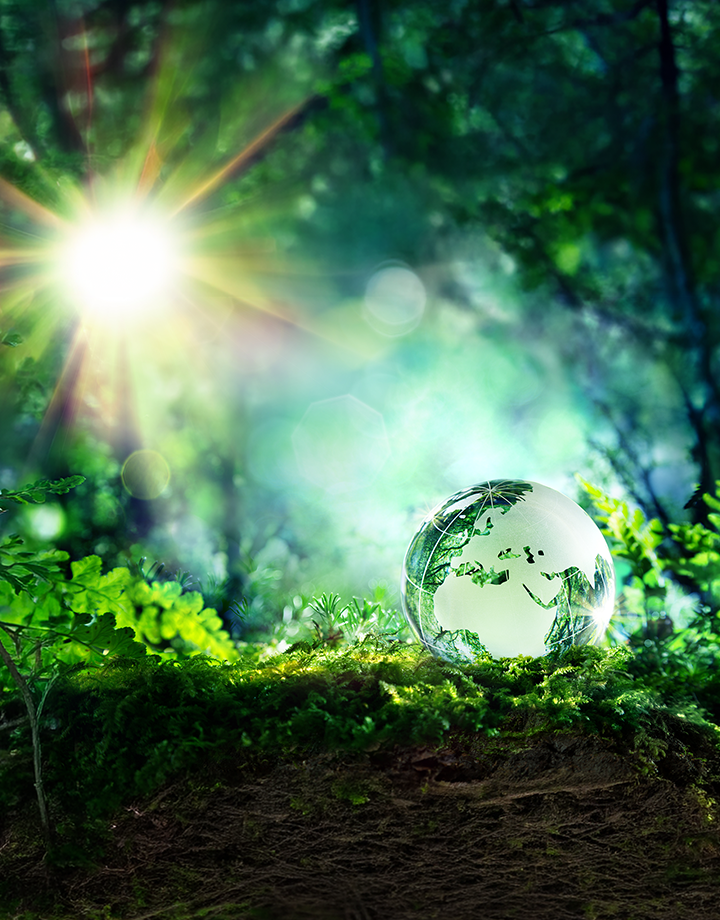 Die ganze Welt der Sauberkeit