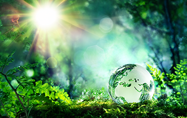 globalClean