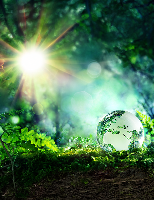 globalClean